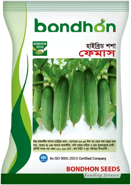 F1 Cucumber -  Femous (ফেমাস)