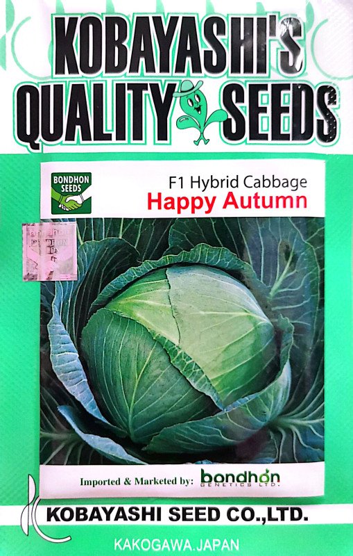 Happy Autumn F1 Hybrid Cabbage Seeds - হ্যাপি অটাম হাইব্রিড বাঁধাকপি বীজ (Fast Growing & Compact)