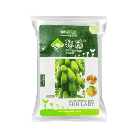 Sun Lady F1 Hybrid Papaya Seeds - সান লেডি হাইব্রিড পেঁপে বীজ (Virus Tolerant & High Yield)