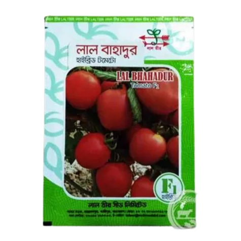 Lal Bahadur F1 Hybrid Tomato Seed - লাল বাহাদুর হাইব্রিড টমেটো বীজ (High Yielding)