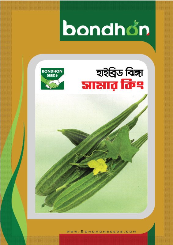 Summer King F1 Hybrid Ridge Gourd Seeds - সামার কিং হাইব্রিড ঝিঙ্গা বীজ (Heat Tolerant & High Yield)