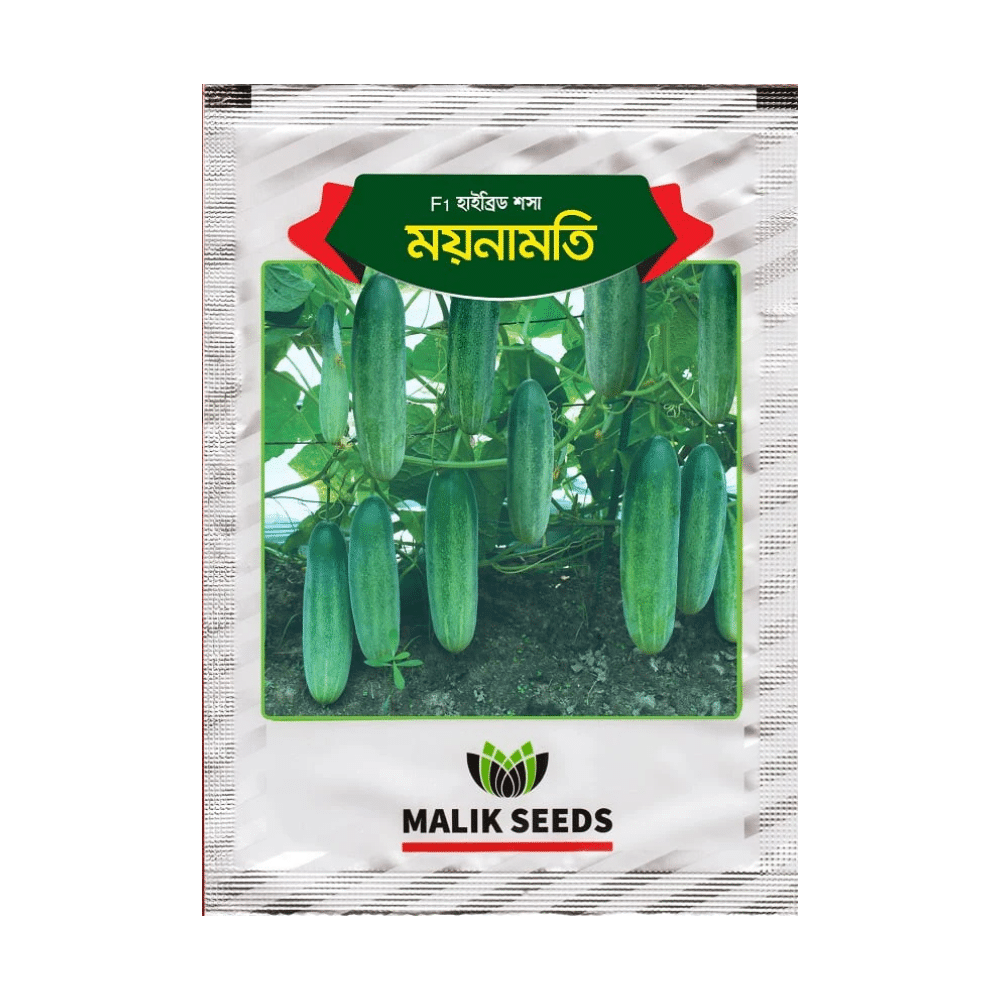 F1 Hybrid Cucumber Moynamoti Seeds (ময়নামতি শসার বীজ) | High Yield Hybrid Cucumber BD – AgroVally