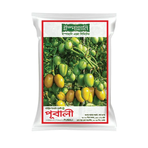 Pubali F1 Hybrid Tomato Seed - পূবালী হাইব্রিড টমেটো বীজ (High Yielding)