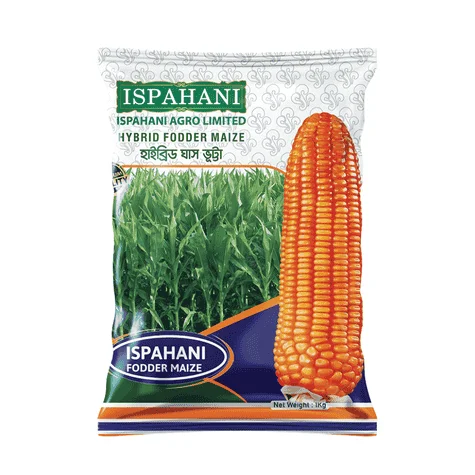 F1 Hybrid Fodder Maize Seeds - উচ্চ পুষ্টিগুণ সম্পন্ন হাইব্রিড ঘাস ভুট্টা বীজ
