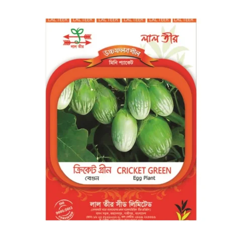 Cricket Green Hybrid Brinjal Seeds - ক্রিকেট গ্রীন হাইব্রিড বেগুন বীজ (High Yielding Oval Variety)