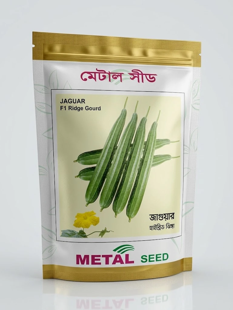 Metal Seed Jaguar F1 Ridge Gourd Seeds - মেটাল সিড জাগুয়ার হাইব্রিড ঝিঙ্গা বীজ