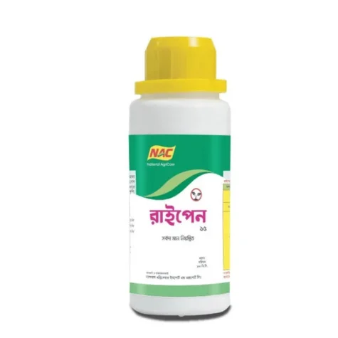 RYPEN 15 (রাইপেন ১৫)