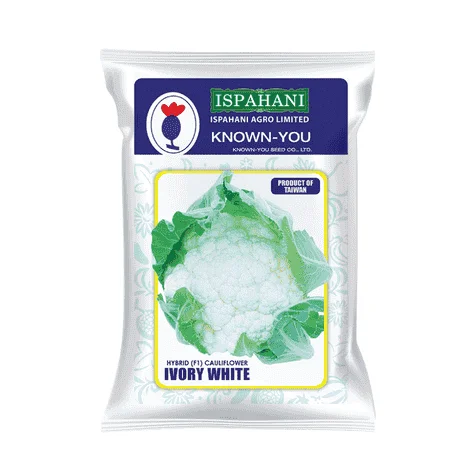 Ivory White F1 Hybrid Cauliflower Seeds - আইভরি হোয়াইট হাইব্রিড ফুলকপি বীজ (Super White & Compact)