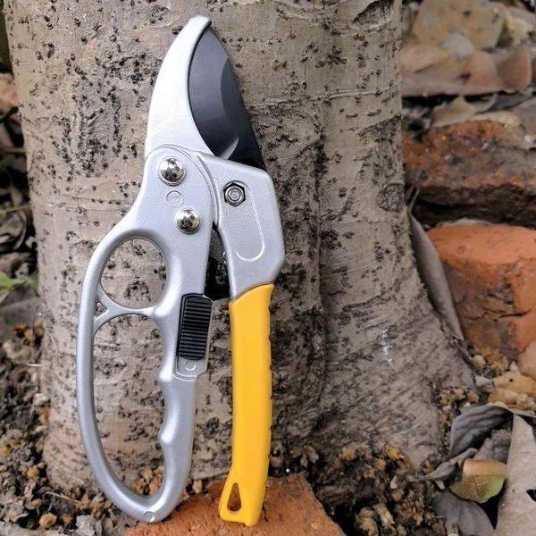গার্ডেন কাঁচি (Garden Pruning Shears)