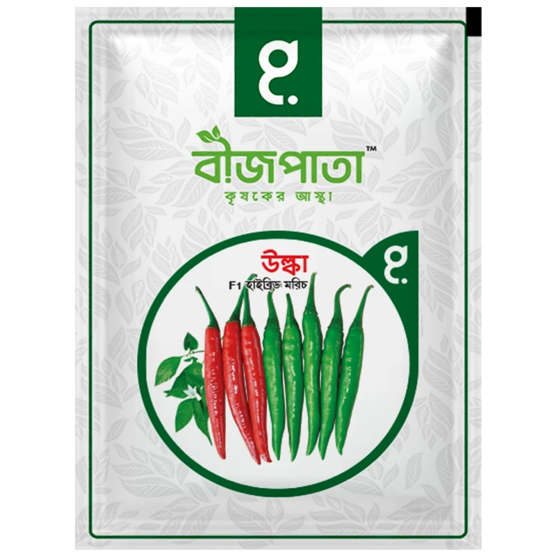 F1 Pepper Seeds Ulka (হাইব্রিড মরিচ বীজ "উল্কা") | Bizpata | AgroVally