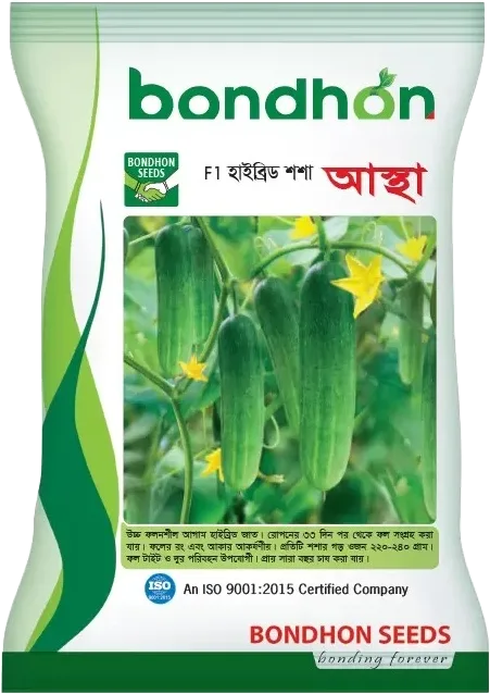 F1 Cucumber -  Astha (আস্থা)