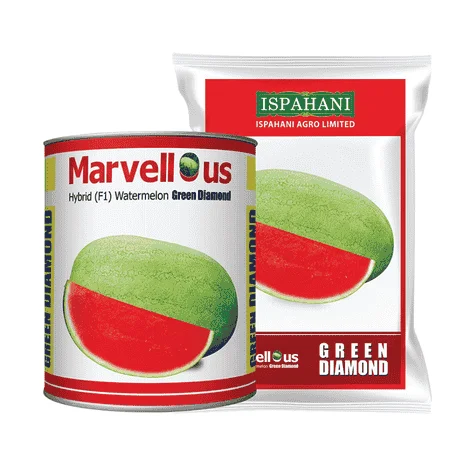 F1 Hybrid Watermelon Green Diamond Seeds - উচ্চফলনশীল হাইব্রিড তরমুজ গ্রীন ডায়মন্ড