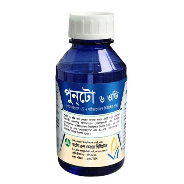 PUNTO 6 OD (পুনটো ৬ ওডি)