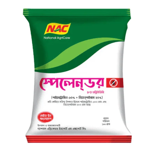 Splender 80 WDG (স্পেলেন্ডার ৮০ ডব্লিউডিজি)
