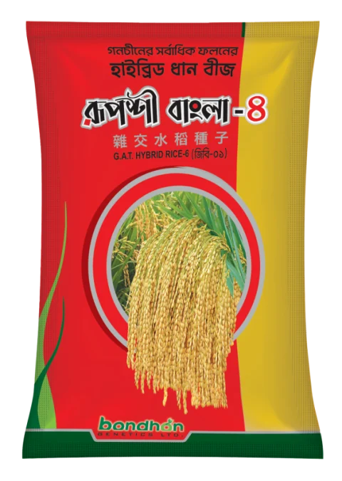 F1 Hybrid Rice Seeds Ruposhi Bangla 4 - উচ্চফলনশীল হাইব্রিড ধান বীজ রূপশী বাংলা ৪