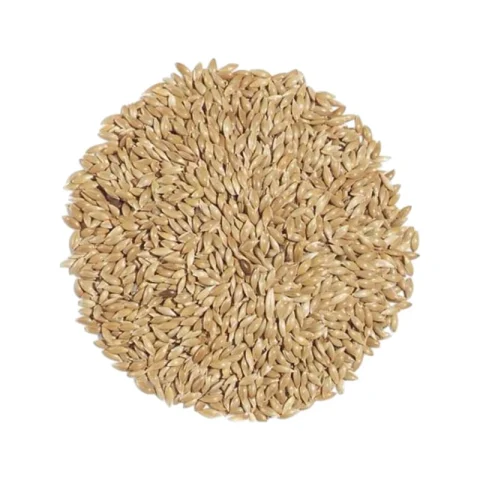 Canary Seed For Bird Food | পাখির পুষ্টিকর খাদ্য