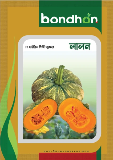 Lalon F1 Hybrid Pumpkin Seed - লালন হাইব্রিড মিষ্টি কুমড়া বীজ (High Yielding)