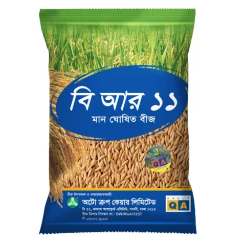 High Yield BR-11 Rice Seeds (Mukta) - উচ্চফলনশীল আমন ধান বীজ বিআর-১১ (মুক্তা)