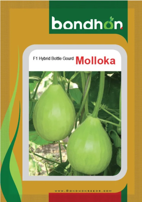 Mollika F1 Hybrid Bottle Gourd Seeds - মল্লিকা হাইব্রিড লাউ বীজ (High Yielding & Tasty)