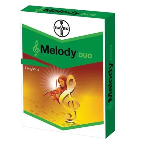 MELODY DUO (মেলডি ডুয়ো)