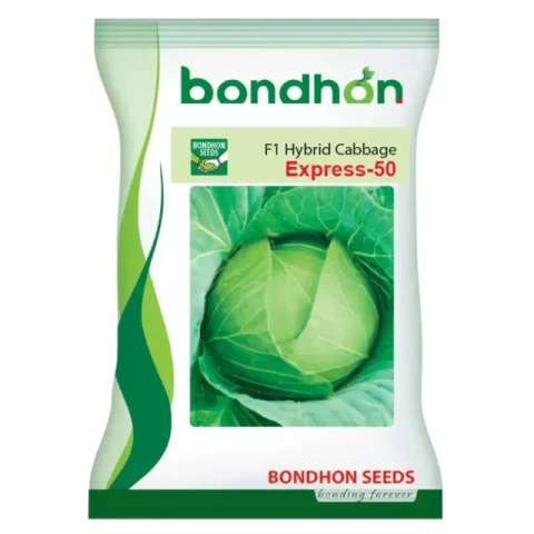 Express 50 F1 Hybrid Cabbage Seeds - এক্সপ্রেস ৫০ হাইব্রিড বাঁধাকপি বীজ (Extra Early & Compact)