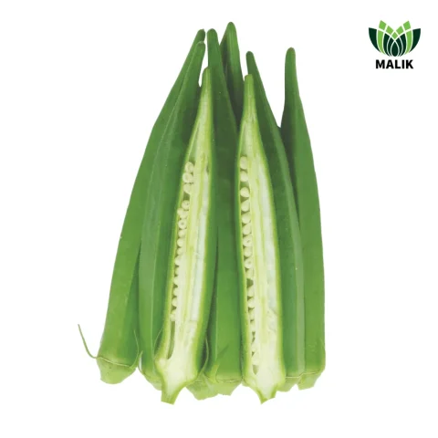 Shanti F1 Hybrid Okra Seed - শান্তি হাইব্রিড ঢেঁড়স বীজ (YVMV Resistant)