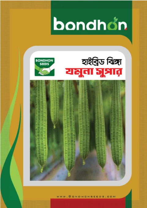 Jamuna Super F1 Hybrid Ridge Gourd Seeds - যমুনা সুপার হাইব্রিড ঝিঙ্গা বীজ (Extra Long & High Yield)