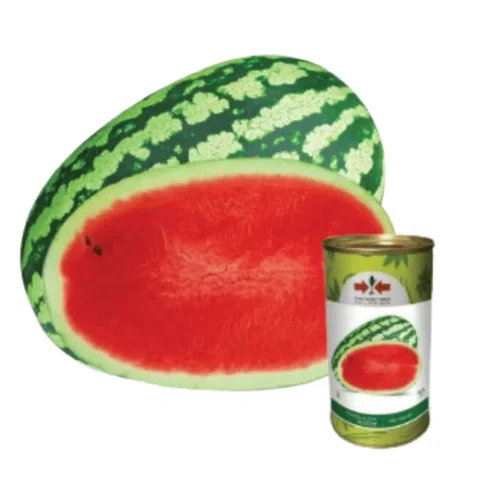 F1 Hybrid Watermelon Banglalink Seeds - উচ্চফলনশীল হাইব্রিড তরমুজ বীজ (বাংলালিংক জাত)