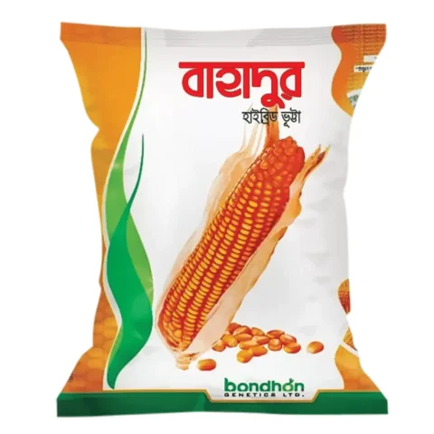 F1 Hybrid Maize Bahadur Seeds - উচ্চফলনশীল হাইব্রিড ভুট্টা বীজ (বাহাদুর)