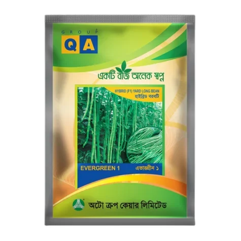 Ever Green 1 F1 Hybrid Yard Long Bean Seeds - এভারগ্রীণ ১ হাইব্রিড বরবটি বীজ (Virus Resistant)
