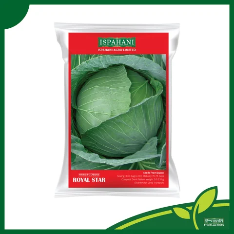 Royal Star F1 Hybrid Cabbage Seeds - রয়েল স্টার হাইব্রিড বাঁধাকপি বীজ (Premium Quality)