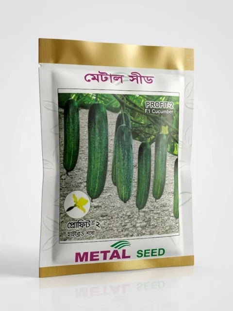 Metal Seed Profit-2 F1 Cucumber Seeds - মেটাল সিড প্রফিট-২ হাইব্রিড শসা বীজ