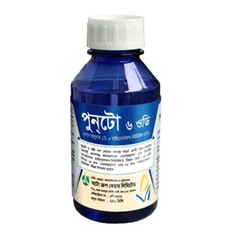 PUNTO 6 OD (পুনটো ৬ ওডি)