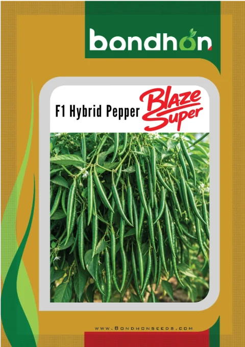 Hybrid Pepper Blaze Super (ব্লেজ সুপার – হাইব্রিড মরিচ) | Bondhon Seeds
