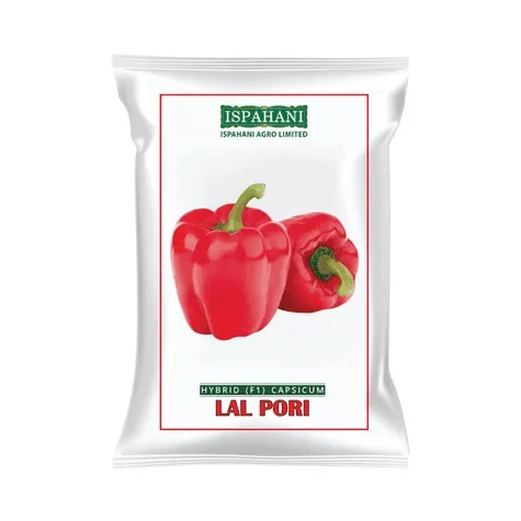 Lal Pori F1 Hybrid Capsicum Seeds - লাল পরী হাইব্রিড ক্যাপসিকাম বীজ (Premium Red Variety)