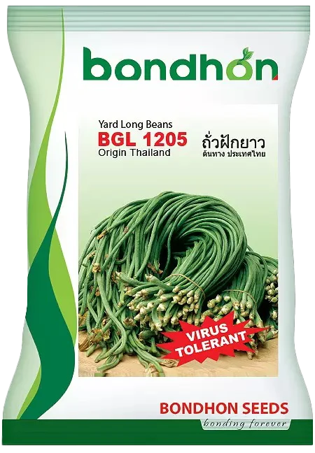 BGL 1205 Hybrid Yard Long Bean Seeds - বিজিএল ১২০৫ হাইব্রিড বরবটি বীজ (Virus Resistant & High Yield)
