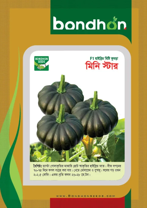 Mini Star F1 Hybrid Pumpkin Seed - মিনি স্টার হাইব্রিড মিষ্টি কুমড়া বীজ (Original Intake)