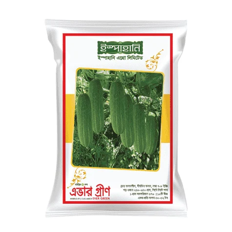 F1 Hybrid Cucumber Seed Ever Green (এভার গ্রীণ শসা বীজ) | High Yield Cucumber Seeds BD