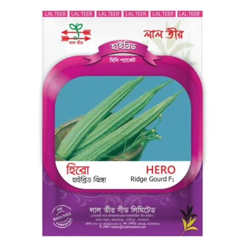 Hero F1 Hybrid Ridge Gourd Seeds - হিরো হাইব্রিড ঝিঙ্গা বীজ (Virus Resistant & High Yield)