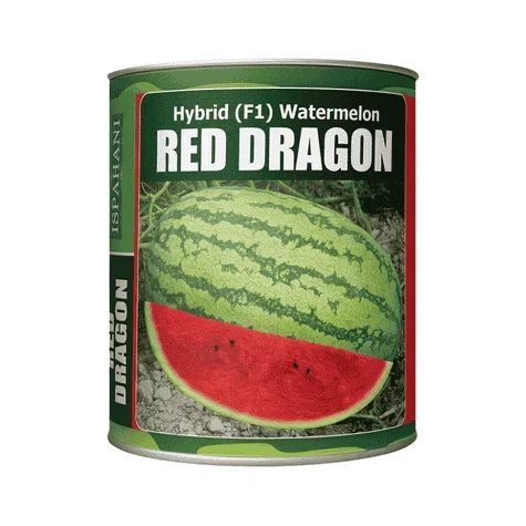 F1 Hybrid Watermelon Red Dragon Seeds - উচ্চফলনশীল ও মিষ্টি হাইব্রিড তরমুজ রেড ড্রাগন