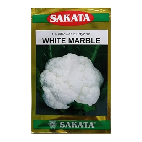 White Marble F1 Hybrid Cauliflower Seeds - হোয়াইট মার্বেল হাইব্রিড ফুলকপি বীজ (Pure White & Compact)