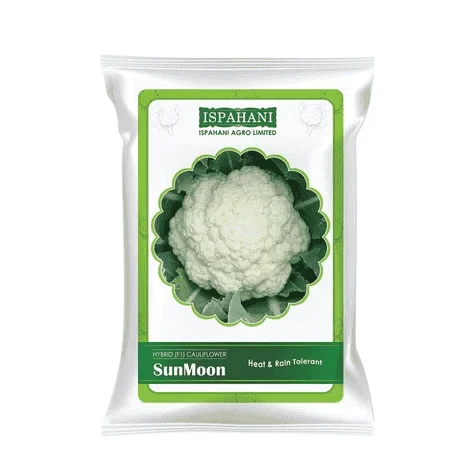 Sun Moon F1 Hybrid Cauliflower Seeds - সান মুন হাইব্রিড ফুলকপি বীজ (Super White & Extra Compact)