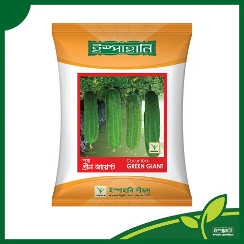 F1 Hybrid Cucumber Seed Green Giant (গ্রীণ জায়ান্ট)