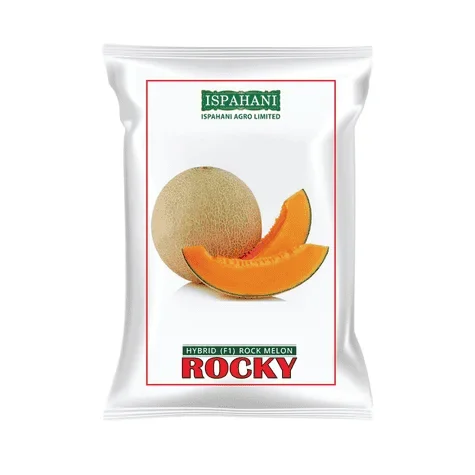 F1 Hybrid Rockmelon Rocky Seeds - উচ্চ ফলনশীল ও সুমিষ্ট হাইব্রিড রকমেলন রকি