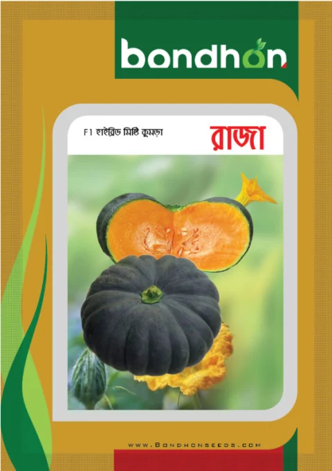 Raja F1 Hybrid Pumpkin Seed - রাজা হাইব্রিড মিষ্টি কুমড়া বীজ (Original Intake)