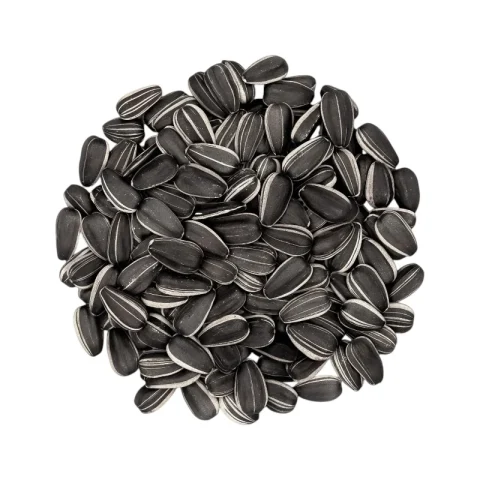 Striped Sunflowers Seed | পাখির পুষ্টিকর খাদ্য