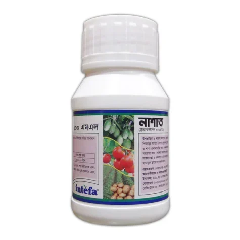 NASAT (নাশাত)