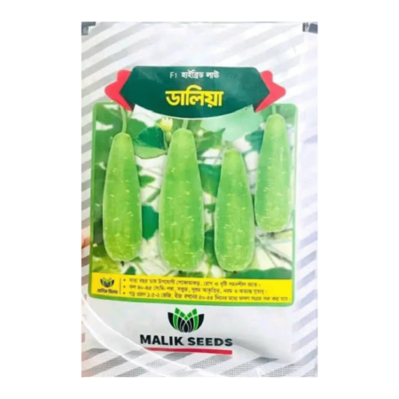 F1 Hybrid Bottle Gourd Seeds Daliya