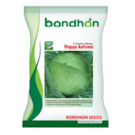Bondhon Cabbage Seeds- Happy Autumn