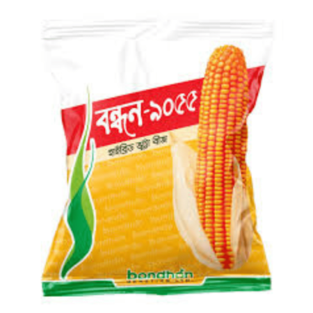 Bondhon Maize Seeds- Bondhon 9055